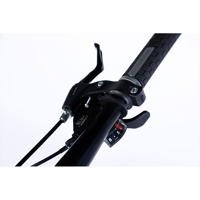 Upland 24 Speeds Steel Frame Mountain Bike with Ltwoo A3 Gear and Lockable Sus Fork