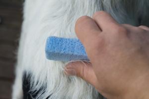 Quality Car care Pet Hair Removal Stone wholesale