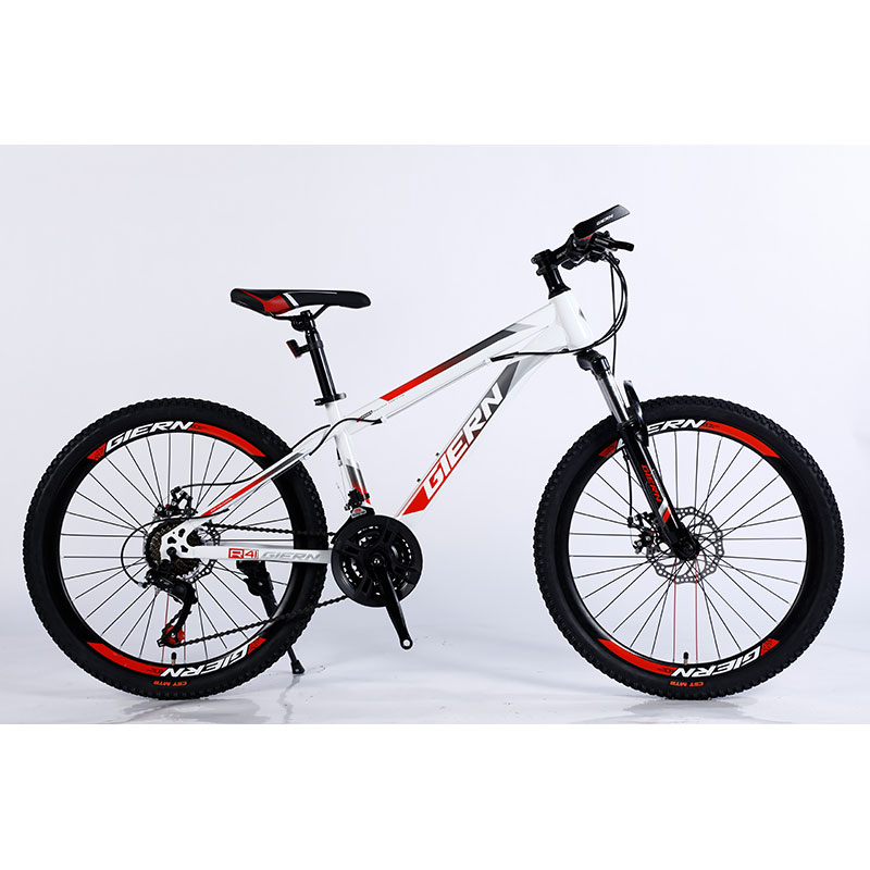 Performance TONGLI MICHANICAL DISC BRAKE Mountain Bike with Steel Rim