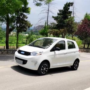 Quality Raysince high end quality vehicle electric wholesales cheap price fast electric car for adult wholesale