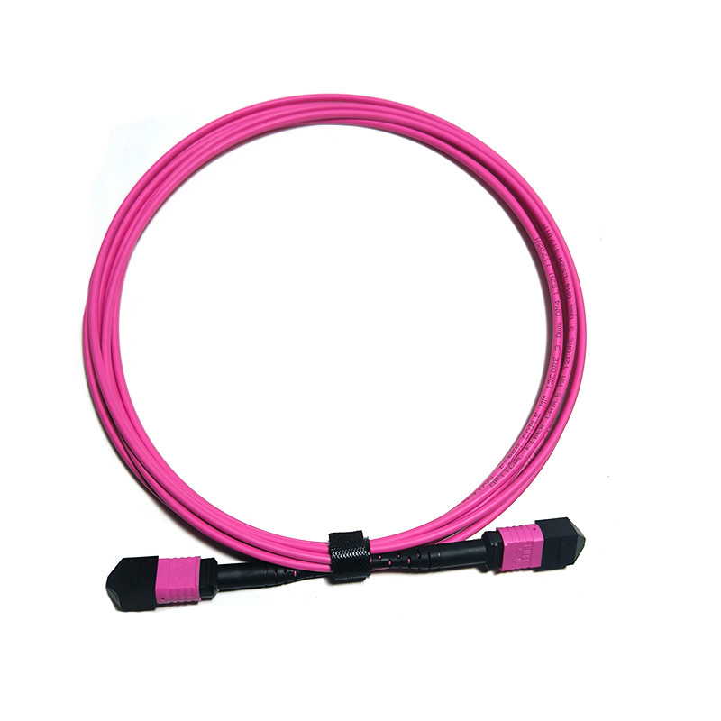 Multimode OM4 Fiber Patch Cables LSZH MPO Trunk Cable 3m 5m Customized