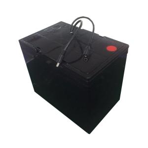 Quality M8 Terminal Forklift Lithium Ion Battery Lifepo4 Motorcycle Golf Cart Battery wholesale