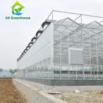 12m Width Agricultural Glass Greenhouse Residential Hydroponic Strawberry