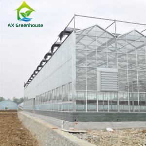 Quality 12m Width Agricultural Glass Greenhouse Residential Hydroponic Strawberry Greenhouse wholesale