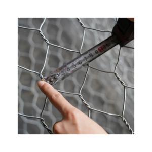 Quality 2x1x1m Gabion Boxes Galvanized PVC Coated for River Construction and Garden Decoration wholesale