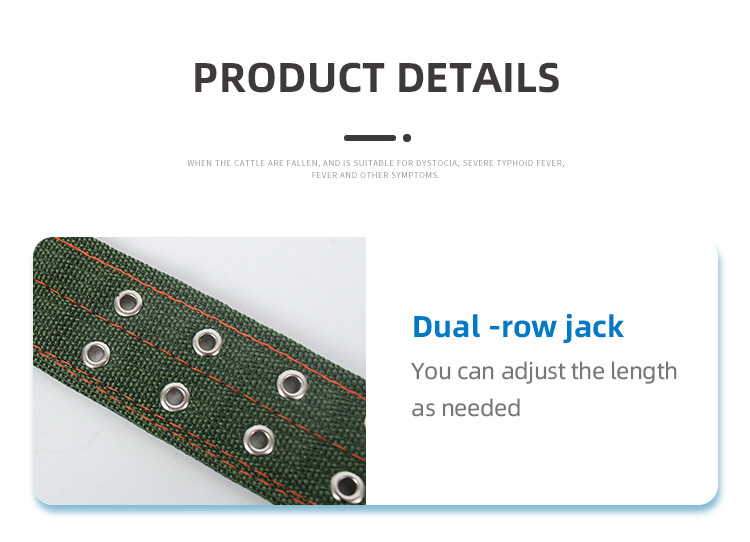 Silver Buckle Cow Collar Ultimate Choice for Successful Livestock Management