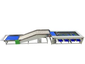 Quality Industrial Apple Roller Sorting Machine For Fruits And Vegetables Processing Line SUS304 wholesale