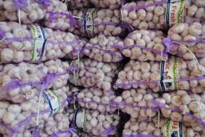 Quality HDPE Plain Woven Tubular Mesh Netting Bags Round wholesale