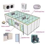 Famous Brand Refrigeration Compressor Cold Storage Room with Evaporator fruit