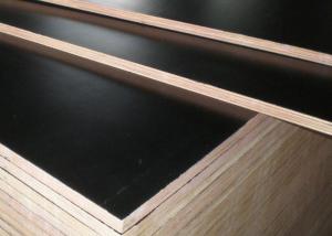 Quality E1 Maple Dynea Film Faced Plywood wholesale