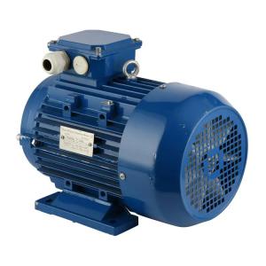 Quality 3 Phase Squirrel Cage Type Induction Motor Aluminum 380V 50HZ 60HZ 1440 Rpm wholesale