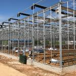 Large Size Transparent Glass Greenhouse Super Strong Resistance and Hydroponics
