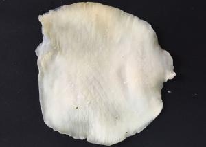 Quality Seasoned Dried Squid wholesale