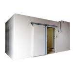 Insulated Doors Cold Room with Energy Saving for Fish Storage Food Storage Cold