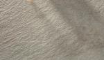Light Grey Porcelain Patio Tiles Sandstone 300x600 300x300 Mm Size Available