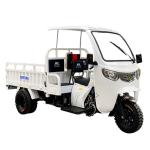 Standard Size 3 Wheel Gasoline 200cc/250cc/300cc Motorcycle Engine Cabin Cargo
