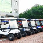 Green ECO Friendly Electric Four Seater Golf Cart 50 Mph 3.5-6KW