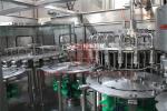 Mango Puree 38mm Bottle Neck Hot Juice Filling Machine For Plastic Bottle