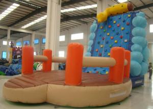 Quality Indoor Caterpillar Inflatable Rock Climbing Wall Playground Fire Resistance wholesale