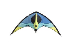 Quality 160*80cm Dual Line Delta Sport Kite For Autumn Season wholesale