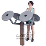 outdoor wooden fitness equipment--WPC Outdoor Gym Tai Chi Wheel, Arm wheel