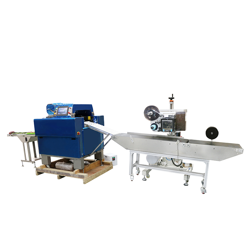 220V Voltage Fruit Tag Barcode Printing Sticker Labeling Machine for Carton Packaging