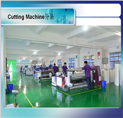 Tunsing PES Polyester Laminating Double Sided Hot Melt Adhesive Film For Textile Fabric