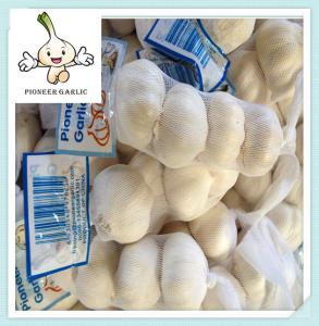Quality 2016 China good farmer garlic 5.0 and 5.5 garlic in USA wholesale