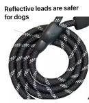Reflective Rope Pet Nylon Dog Leash 1.5m Customized Logo