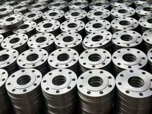 Quality Forged Carbon Plain Steel Pipe Flange DN15 DN1200 wholesale