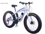 Light Weight 26 Inch 48v 500w MTB Electric Bikes