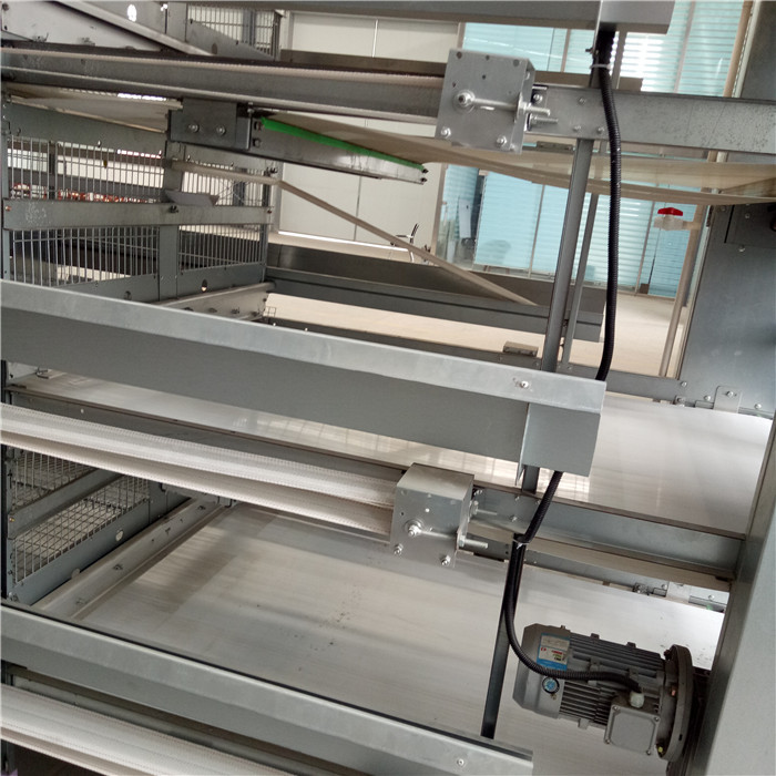 Automatic Control Poultry House Cleanout Equipment , Powerful Poultry Farm Cage