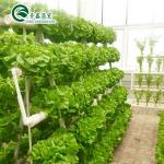 Complete Hydroponic Grow Tent for Indoor Growing of Vegetables Fruits Flowers