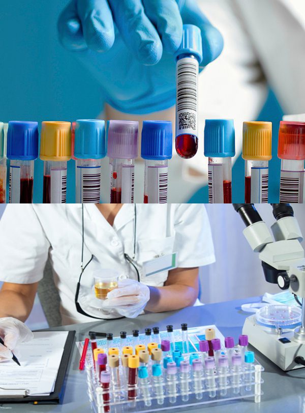 Disposable Medical Plastic Micro Collection Tube EDTA Capillary Tubes Types with Best Price