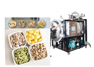 Quality Bitzer Vacuum Industrial Scale Freeze Dryer 300Kg wholesale