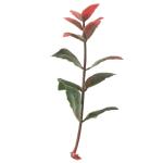 20mm 25mm Artificial Green Walls For Home Decoration