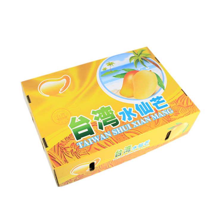 Self Erecting Kiwi Fruit Packing Box