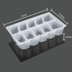 21cm Dumpling Storage Box
