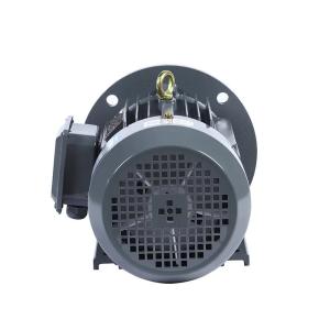 Quality 15 Hp 25 Hp 40 Hp Foot Mounted Induction Motor 3 Phase 3000 Rpm Acid Pump Motor wholesale