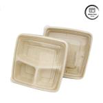 9 Inch Biodegradable Clamshell Takeout Containers Eco Friendly Disposable Food