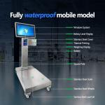 400*500mm Industrial Scale with 200kg Weight Capacity and Stainless Steel