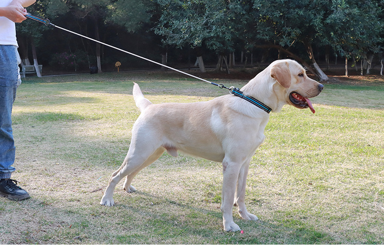Comfortable Soft Padded 4FT Pet Leash Metal Anti Chew Leash Strong Anti Bite
