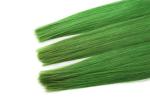 12-24 Inches Two Tones Green Color Hair Virgin Brazilian Human Hair Extension
