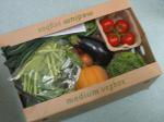 Cardboard Paper Tomato Carton Box For Fruit Packaging