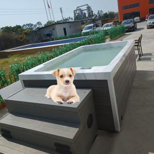 Quality Acrylic Doggy Pet Swimming Pool for Dog Water Playing wholesale