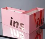 Hand Length Handle Ins Style Pink Paper Bags for Boutique Gift Craft Shopping