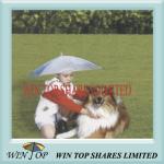 PVC and Poe Pet, Cat, Dog Umbrella Manufacturer