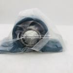 NSK Bearing Units UCP207D1 , UCP208D1