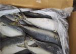90g BQF Freezing 100% Net Weight Fresh Frozen Mackerel