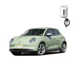 Electric Parking Brake 2024 Great Wall Ora Good Cat Car with Car Entertainment